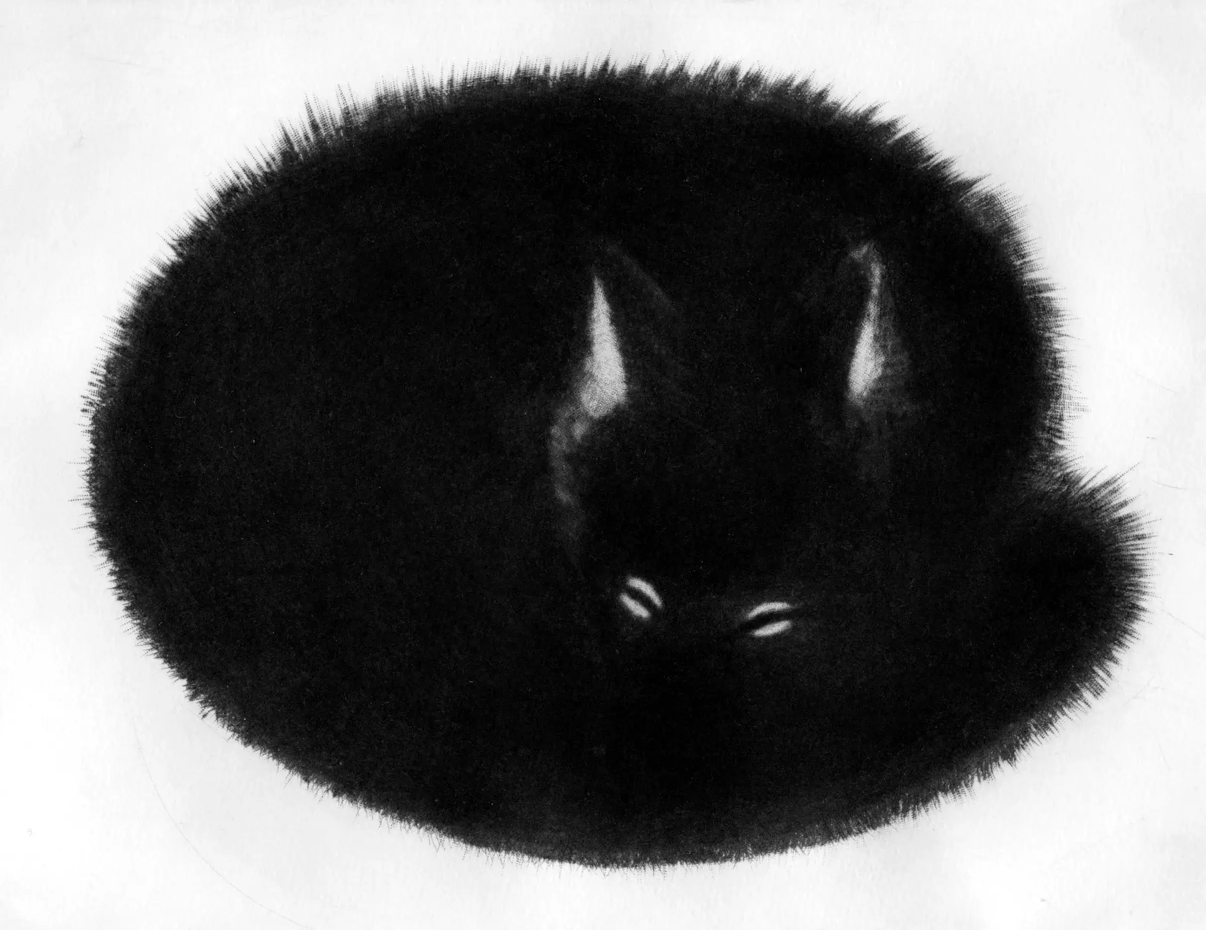 Karvakerä